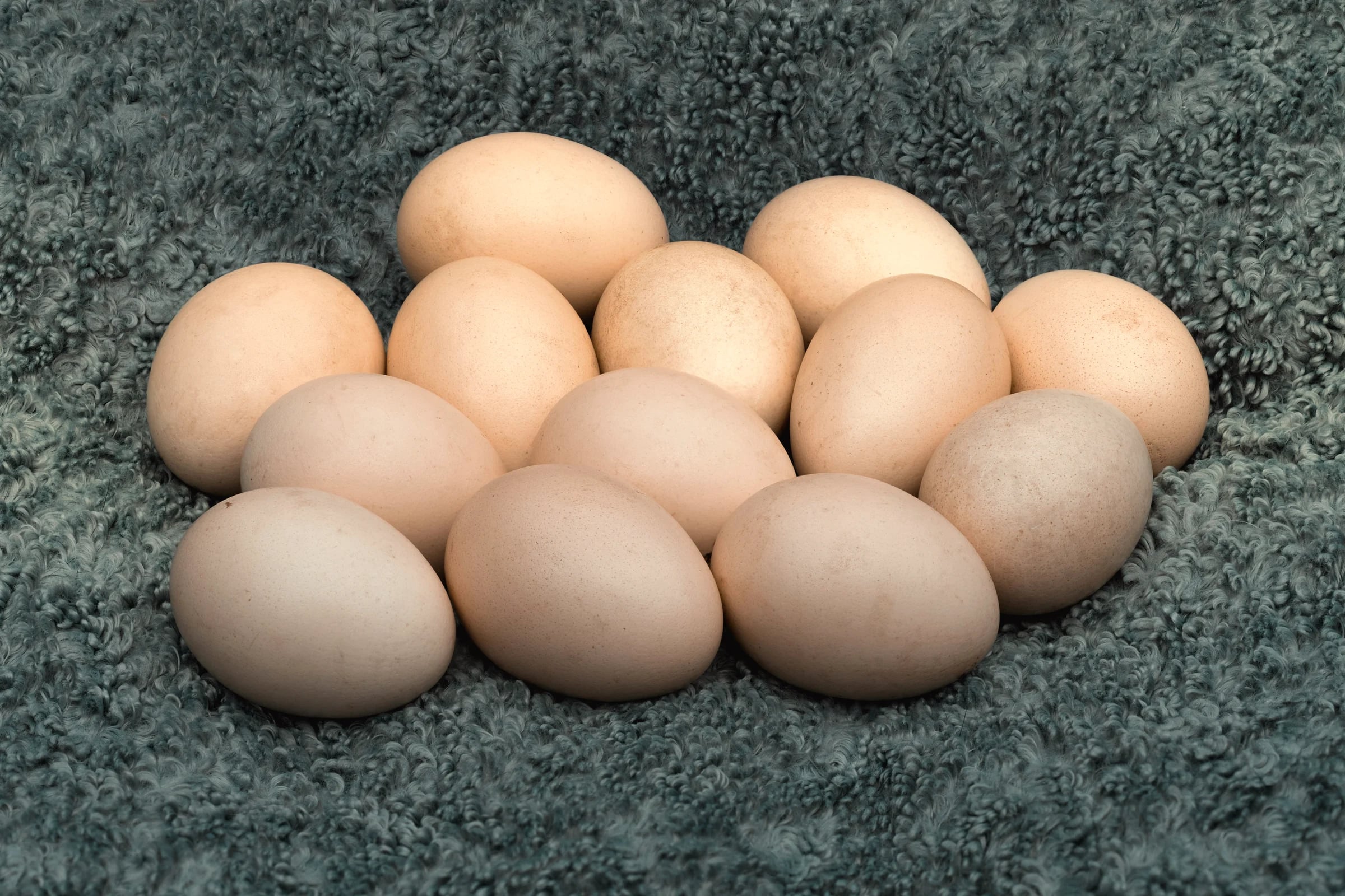 A dozen brown eggs on a soft grey cloth