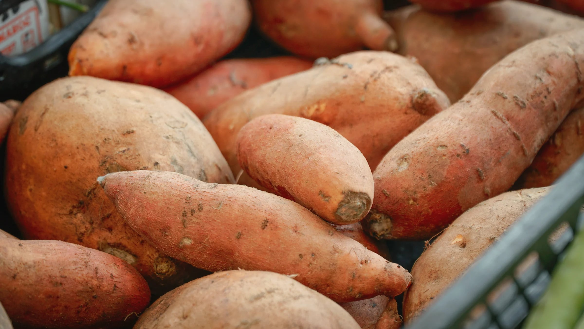 A pile of sweet potatoes in a basket